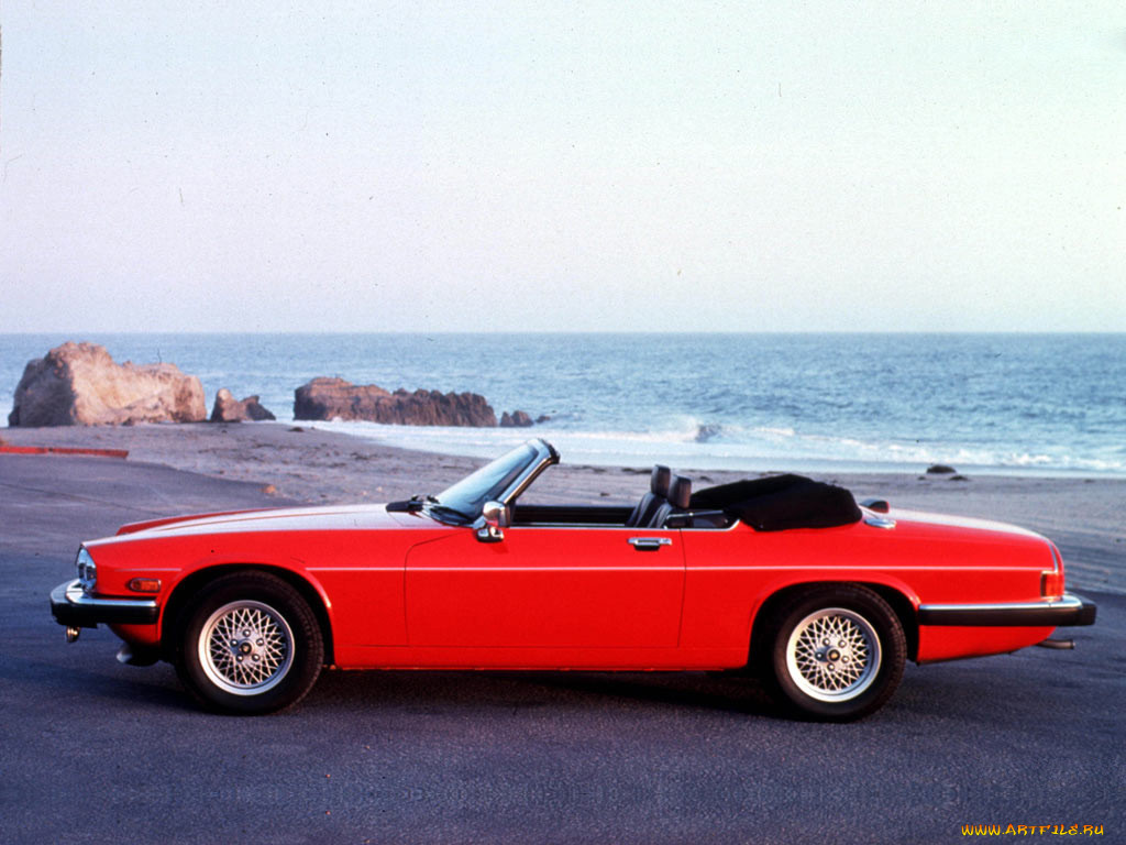 , jaguar